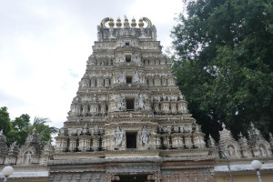 P1040229